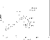 \begin{figure}
\par\includegraphics[width=8.8cm]{LambdaetaCANOP.eps}\end{figure}