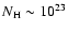 $N_{\rm H} \sim 10^{23}$