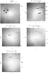 \begin{figure}
\par\includegraphics[width=7cm,clip]{a85_bw_last.ps}\hspace*{5mm}...
...]
\includegraphics[width=7cm,clip]{a1688_bw_last.ps}\hspace*{7.5cm}
\end{figure}