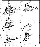 \begin{figure}
\par {
\psfig{figure=finish.ps,height=17cm,width=15cm,clip=} }
\end{figure}