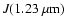 $J (1.23~\mu {\rm m})$