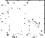 \begin{figure}
\par\includegraphics[width=8.4cm,clip]{fig04.eps}\end{figure}