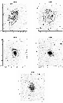 \begin{figure}
\par\includegraphics[width=14.4cm,clip]{ms2973f14b.eps}
\end{figure}