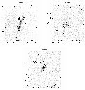 \begin{figure}
\par\includegraphics[width=14cm,clip]{ms2973f14c.eps}
\end{figure}
