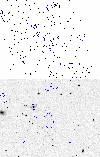 \begin{figure}
\par\psfig{figure=H3892F15.ps,width=8.8cm,angle=0}\par\psfig{figure=H3892F16.ps,width=8.8cm,angle=0}\end{figure}