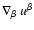 $\nabla_{\beta}~u^{\beta}$