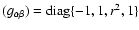 $(g_{\alpha \beta})={\rm diag}\{-1,1,r^2,1\}$