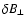 $\delta B_{\bot}$