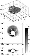 \begin{figure}
\par\includegraphics[width=8.8cm]{m2949f5b.eps}
\includegraphics[width=8.8cm]{r2949f5b.eps}
\end{figure}