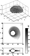\begin{figure}
\par\includegraphics[width=8.8cm]{m2949f5c.eps}
\includegraphics[width=8.8cm]{r2949f5c.eps}
\end{figure}