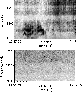 \begin{figure}
\par\includegraphics[width=7.2cm,clip]{zebra060600harmS.ps}\end{figure}