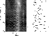 \begin{figure}
\par\includegraphics[height=6.5cm,width=8.8cm,clip]{zebperf16314.ps}\end{figure}