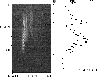 \begin{figure}
\par\includegraphics[height=6.8cm,width=8.8cm,clip]{a000606aobs.eps}\end{figure}