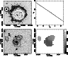 \begin{figure}
\par\includegraphics[width=11cm,clip]{h3706f11.eps}\end{figure}