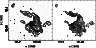 \begin{figure}
\par\includegraphics[width=11cm,clip]{fig8new.eps}\end{figure}