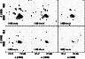 \begin{figure}
\par\includegraphics[width=11cm,clip]{h3706f9b.eps}\end{figure}