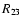 $R_{\rm 23}$