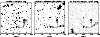 \begin{figure}
\par\includegraphics[width=8.8cm,clip]{MS2263f1.eps}\end{figure}