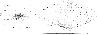 \begin{figure}
\par\includegraphics[width=17.7cm,height=6.5cm,clip]{aa2796f3.eps}\end{figure}