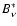 $B_{\nu}^*$