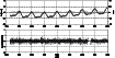 \begin{figure}
\par\includegraphics[width=12cm,clip]{MS2950F2.eps} \end{figure}