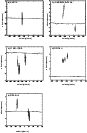 \begin{figure}
\par\includegraphics[width=10cm,clip]{MS3042_f4.eps}\end{figure}
