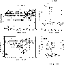 \begin{figure}
\par\includegraphics[width=11cm,clip]{3042f7.eps} \end{figure}
