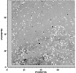 \begin{figure}
\par\includegraphics[width=7.4cm,clip]{h3780f2.eps}\end{figure}