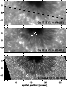 \begin{figure}
\par\resizebox{\hsize}{!}{\includegraphics[angle=-90,clip]{h3966f1.eps}} \end{figure}