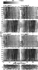 \begin{figure}
\par\includegraphics[width=9cm,clip]{h3966f2.eps} \end{figure}