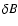 $\delta B$
