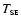 $T_{\scriptscriptstyle\rm SE}$