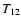 $T_{{\rm 12}}$