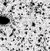\begin{figure}
\par\psfig{figure=ms2904f4.ps,width=8.8cm,height=9cm,clip=t}\end{figure}