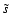 $\tilde{s}$