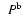 $\phantom{{\rm ^b}}P{\rm ^b}$