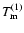 $T^{(1)}_{\rm m}$