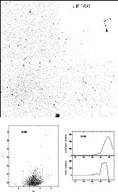 \begin{figure}\par\includegraphics[width=14.7cm,clip]{Fig2_13.ps}\setcounter{figure}{1}\end{figure}