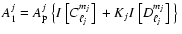 $\displaystyle A_1^j=A_{\rm p}^j ~\big\{ I~\big[C_{\ell_j}^{m_j}\big]~ + K_j I~\big[D_{\ell_j}^{m_j}\big]~
\big\}~$