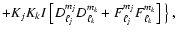 $\displaystyle + K_j K_k I~\big[D_{\ell_j}^{m_j} D_{\ell_k}^{m_k}+ F_{\ell_j}^{m_j}
F_{\ell_k}^{m_k}\big]~
\big\}~,$