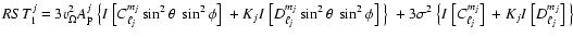 $\displaystyle RST_1^j=3 v_\Omega^2 A_{\rm p}^j ~\big\{
I~\big[C_{\ell_j}^{m_j}...
...big\{ I~\big[C_{\ell_j}^{m_j}\big]~ + K_j I~\big[D_{\ell_j}^{m_j}\big]~
\big\}~$