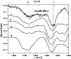 \begin{figure}
\par\includegraphics[width=8.8cm,clip]{ms1557f10.eps}
\end{figure}