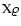 $\rm X \varrho $
