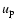 $u_{\rm p}$
