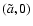 $(\tilde{a},0)$