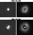 \begin{figure}
\par {\hspace*{2cm}Filter NB2.06}\\
\mbox{\includegraphics[widt...
...s} \includegraphics[width=0.24 \textwidth,clip]{fig/f2914_10.ps} }
\end{figure}
