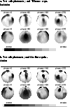 \begin{figure}
{\sf a. Test with photometry and Tikhonov regularization}
\vspace...
...\vspace{5mm}
\par\includegraphics[angle=0,width=8.8cm,clip]{F7b.ps}
\end{figure}