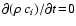 $\partial (\rho~c_i)/\partial t\!=\!0$