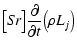 $\displaystyle \big[{S\!r}\big]\frac{{\rm\partial} }{{\rm\partial} t}\big(\rho L_j\big)$