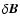 $\delta\vec{B}$